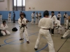 Steve Sparring